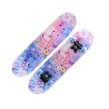 24 inch Beginners Skateboard Double Kick Concave - 4#