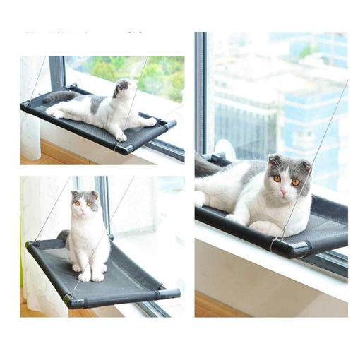 Hamac de fenêtre pour chat, lit de perche, supporte jusqu'à 17.5KG, siège Durable monté 1