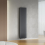 (Anthracite Gray) 420 x 1600mm Column Radiator Double Oval Panel Radiator 2
