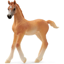 Schleich Arabian Foal