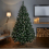 Premier Decorations 5ft Rocky Mountain Pine Christmas Tree 4