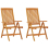 VidaXL (2) vidaXL 2/4/6/8x Solid Wood Eucalyptus Folding Garden Chairs Foldable Chair 1