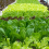 Vitax Vitax Q4 4.5kg All-Purpose Pelleted Fertiliser 6