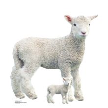 Lamb Farm Animal Star Mini Cardboard Cutout 74cm