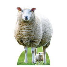 Sheep Farm Animal Star Mini Cardboard Cutout 94cm