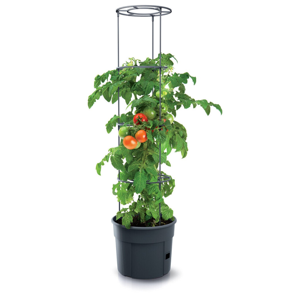 (  Small - 300mm) Tomato Grower Tower Plastic Home Indoor/Outdoor Plant Veg Flower Pot