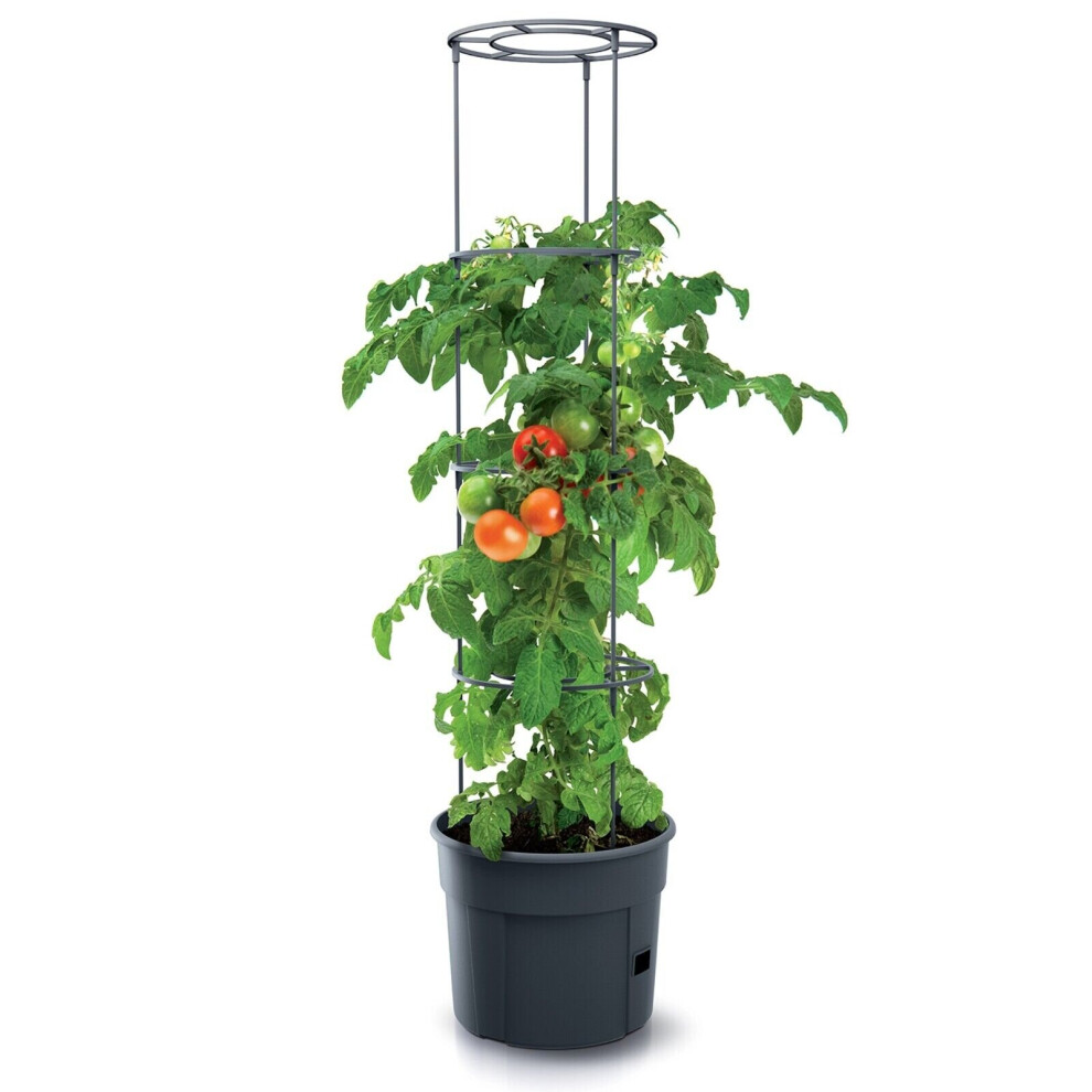 (  Large - 350mm) Tomato Grower Tower Plastic Home Indoor/Outdoor Plant Veg Flower Pot