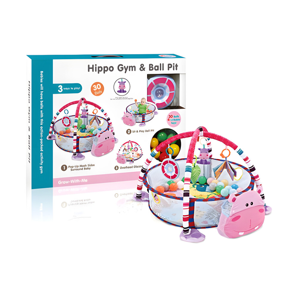 RLS 3 In 1 Foldable Hippo Baby Play Mat with storage for Balls