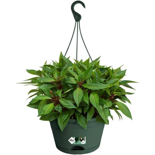 Elho Green Basics Hanging Basket Leaf Green 28cm 2