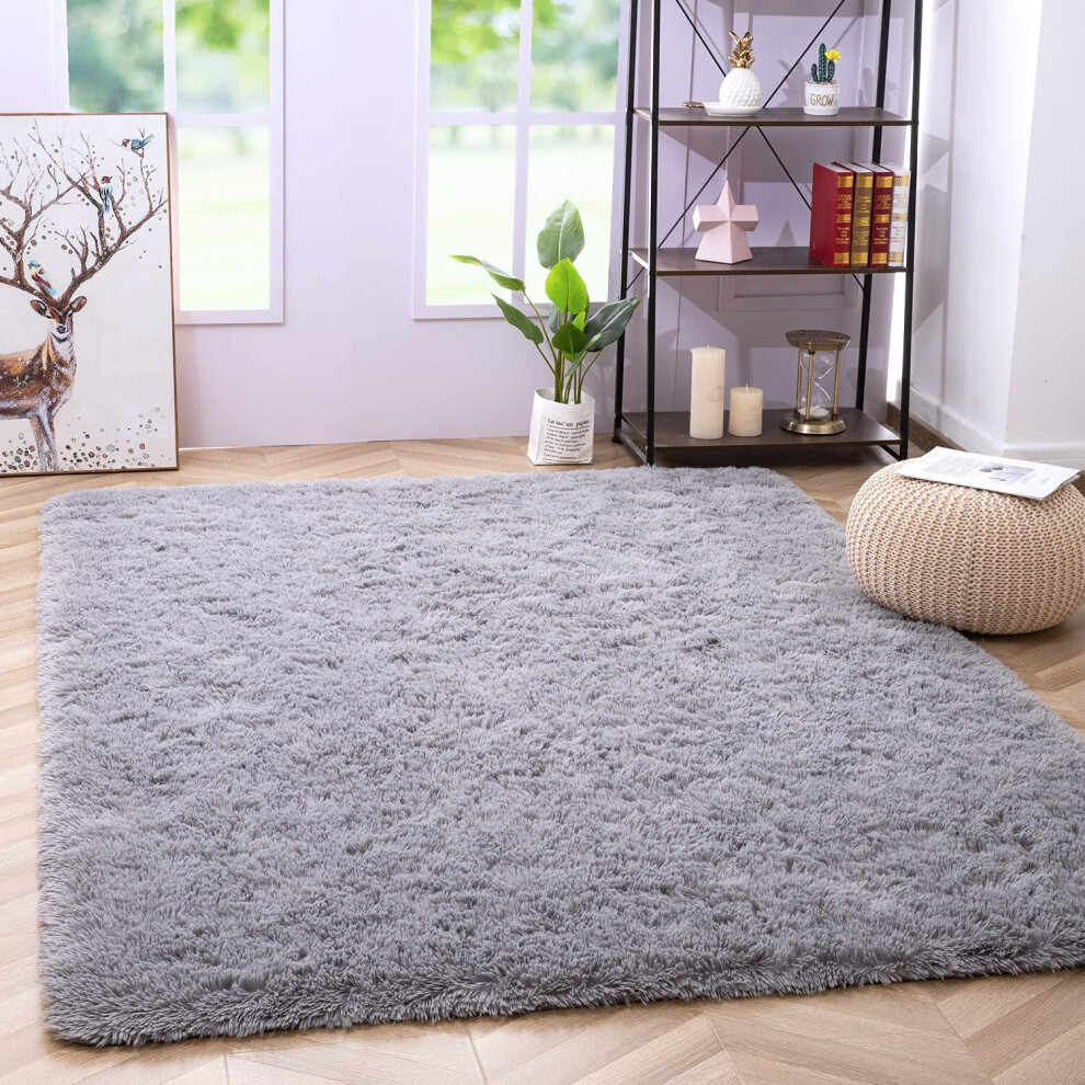 Fluffy Rugs Rug Carpet Large Shaggy Super Soft Mat Living Room Bedroom  Anti-Slip