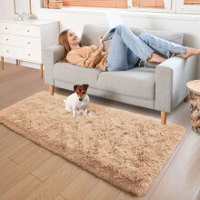 (Beige, 60 X 220 cm) Fluffy Rugs Anti-Slip Large Shaggy Rug Super Soft Mat Living Room Bedroom Carpet