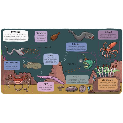 Little Explorers Under the Sea 2