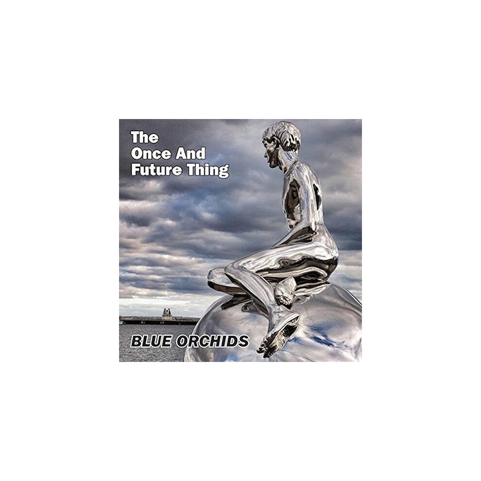 Tiny-Global-Prod The Once And Future Thing