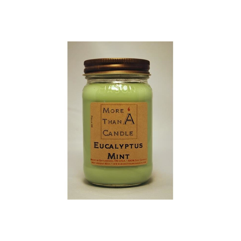More Than A Candle ELM16M 16 oz Mason Jar Soy Candle, Eucalyptus Mint-image-OPC-PNKRYB-NEW