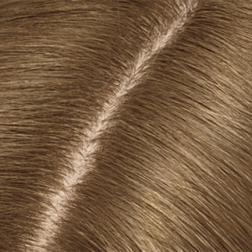 Clairol Clairol Root Touch Up 6 Ανοιχτό καφέ Μόνιμη Βαφή Μαλλιών 1