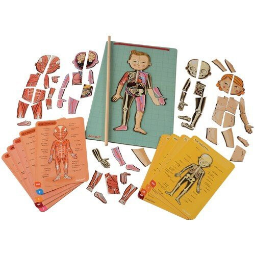 Janod JANOD - Body Magnet L'Anatomie - 12 talen - Vanaf 7 jaar