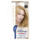Clairol Clairol Root Touch Up 8 Μόνιμη Βαφή Μαλλιών μεσαίου ξανθού 1