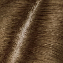 Clairol Root Touch Up 5G Permanent Hair Color Medium Golden Brown