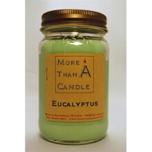 More Than A Candle ELP16M 16 oz Mason Jar Soy Candle, Eucalyptus