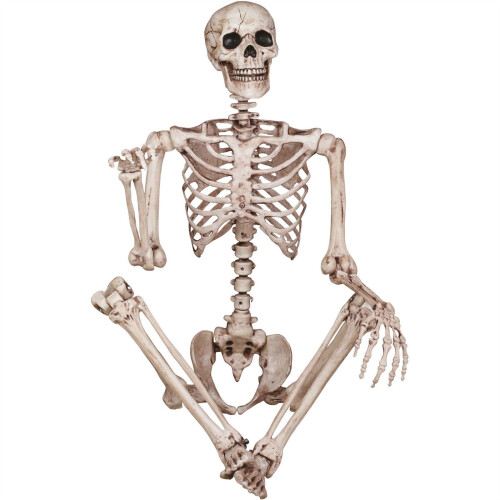Giant Life Size Skeleton Poseable Halloween Decoration 165cm Bones 1