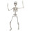 Giant Life Size Skeleton Poseable Halloween Decoration 165cm Bones 3