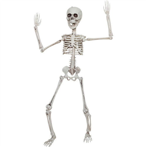 Giant Life Size Skeleton Poseable Halloween Decoration 165cm Bones 2