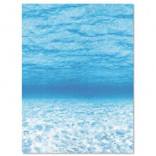 Pacon 56525 Fadeless Designs Bulletin Board Paper  Under Sea  Acid-Free  48   x 50  Rl
