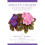 African Violets Back to the Basics: Your Questions Answered 1