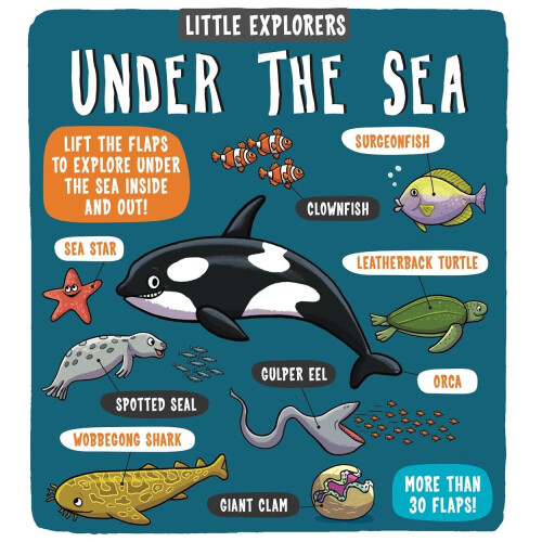 Little Explorers Under the Sea