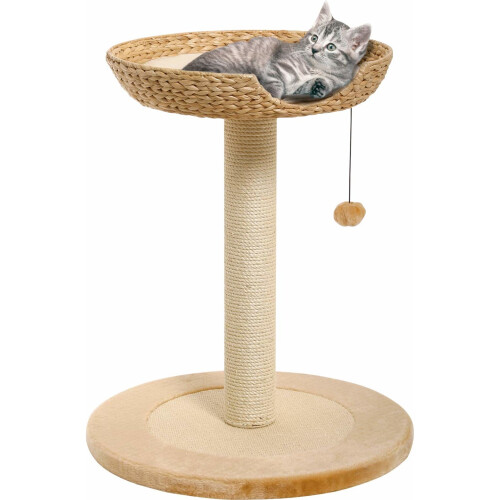 Cat tree banana clearance leaf