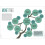 Monet: Great Lives in Graphic Form (Biographic) 3