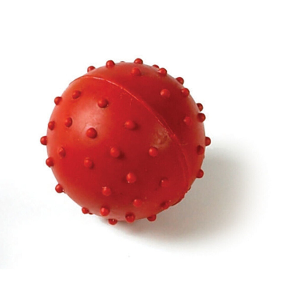 Classic Rubber Pimple Ball With Bell 50mm (Pack of 12)