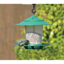 Hanging Lantern Bird Seed & Nut Feeder Green