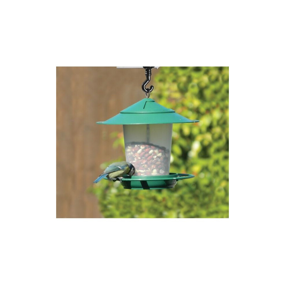 Hanging Lantern Bird Seed & Nut Feeder Green