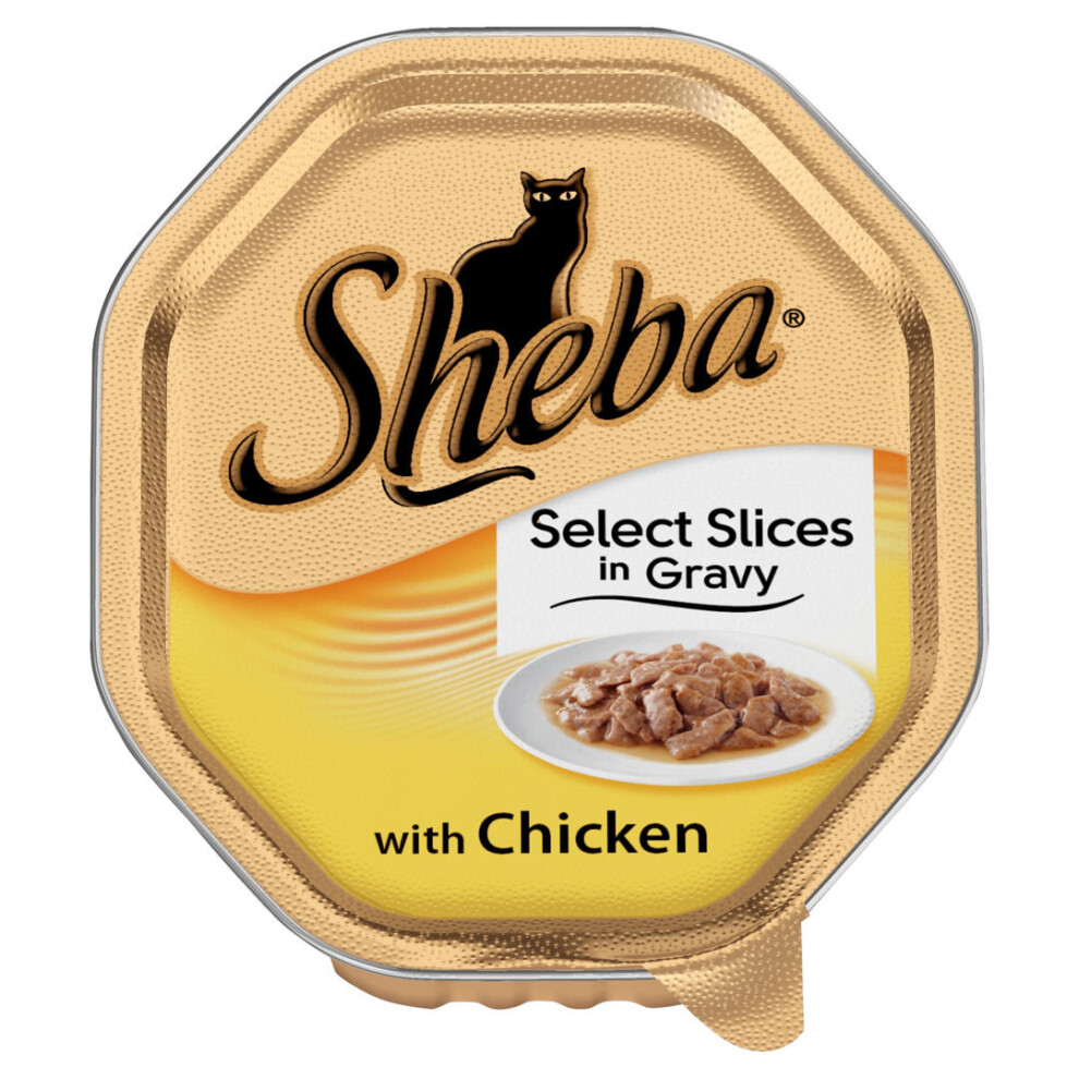 Sheba Tray Select Slices With Chicken In Gravy 85g (Pack of 22)