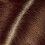 Clairol Clairol Root Touch Up Permanent Hair Dye 4R Dark Auburn 2