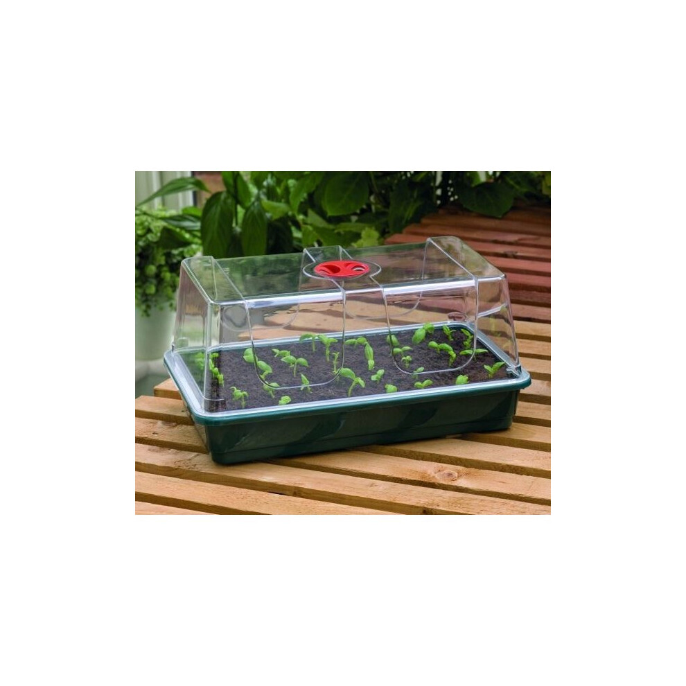 Large High Dome Propagator Home Planting Gardening