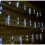 Premier Premier 24 Icicle Lights With 72 Cool White LEDS - 6.9m 5