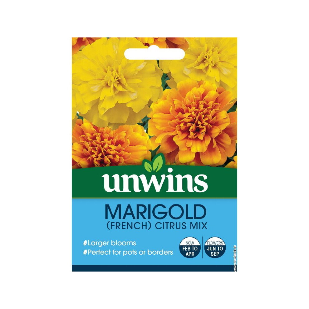 Unwins Grow Your Own Large Bloomed Marigold French Citrus Mix Seeds Yellow