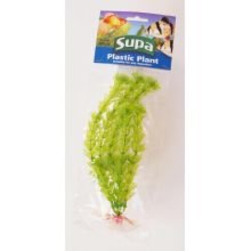 Supa Supa Plastic Plant Plybg (8)