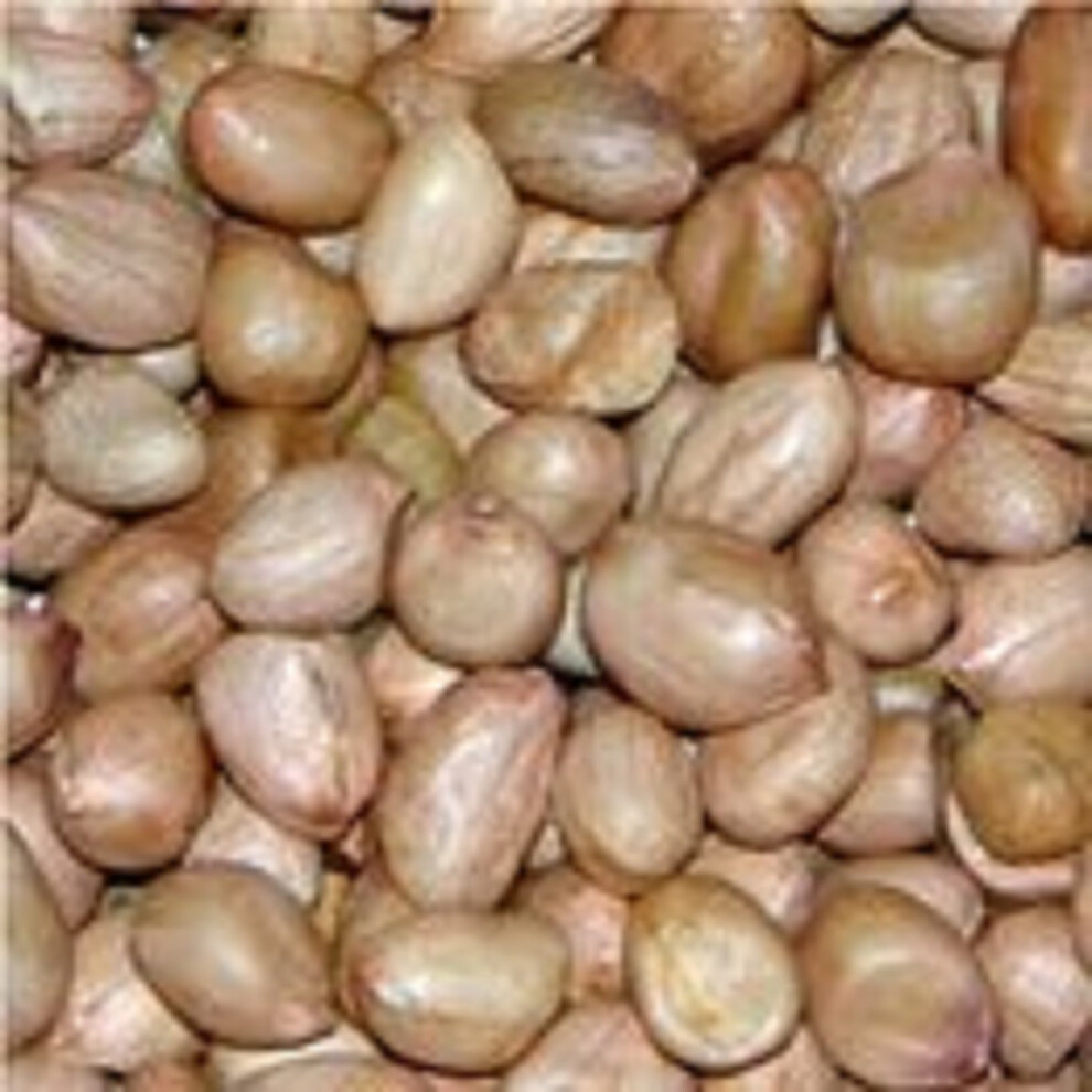 10kg WILDBIRD PEANUTS