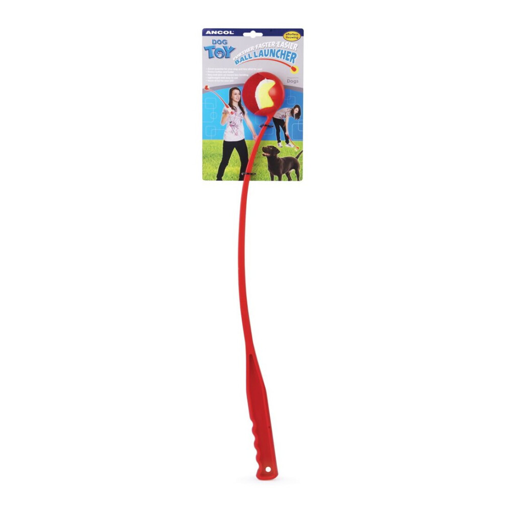 Tennis Ball Launcher Assorted 62cm