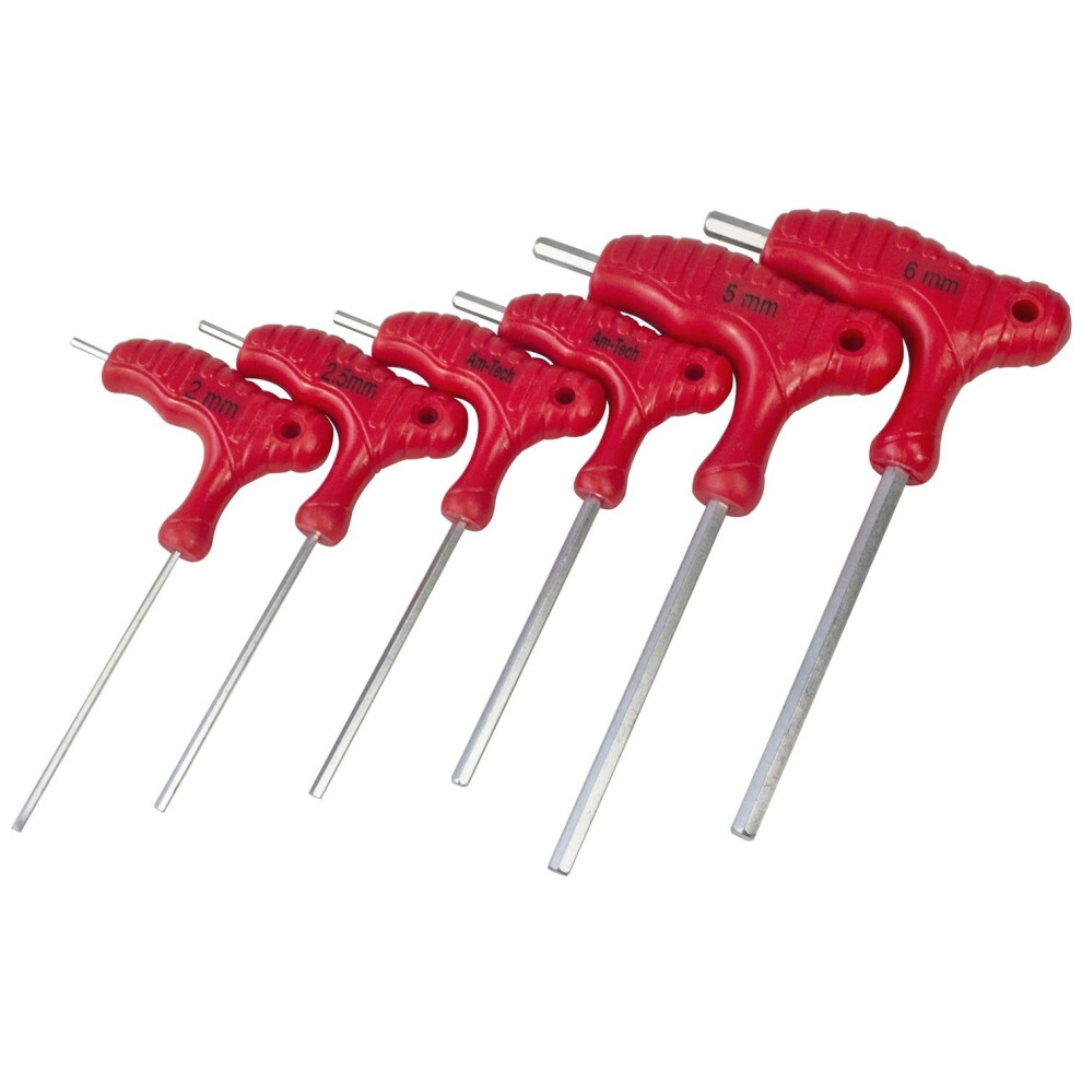 6pc Anti Tamper Security Hex Allen Key Set T-handle Long Arm Keys