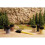Rote Wand Rock Former - Noch N61235 3