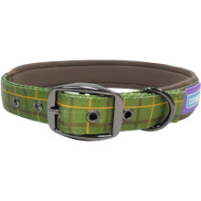 Dog & Co Nylon Padded Collar Luxury Green Check 3/4'' X14-18'' (Pack of 3)