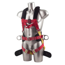 3-Point Harness Comfort Plus