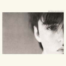 Crumbling The Antiseptic Beauty (Deluxe Re-Issue Edition) [VINYL]