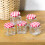 GEEZY GEEZY 5 Pcs Clear Glass Jar Set Mini Containers Storage Jam Jars with Screw Top Lids 4