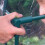 Kingfisher Kingfisher Giant Walk-In Greenhouse 2