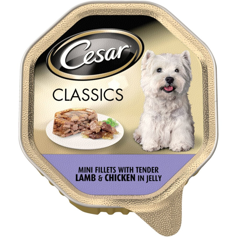 Cesar Classics Tender Lamb & Chicken In Jelly 150g (Pack of 14)